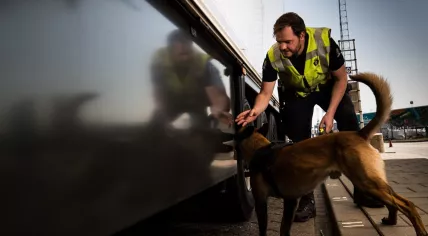 A Koninklijke Marechaussee officer and sniffer dog