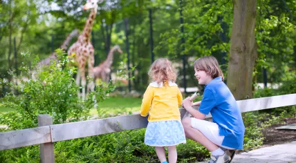 Kids at the zoo