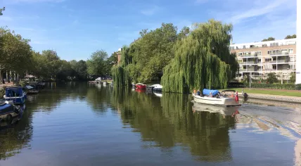 Summer's day on the Alexanderkade in Amsterdam Centrum, 23 August 2019