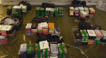Packages of cocaine found hidden inside a banana shipment at the Rotterdam Port. Sept. 24, 2019