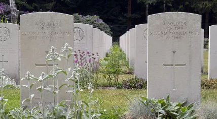 Graves in the Mierlo War Cemetery 