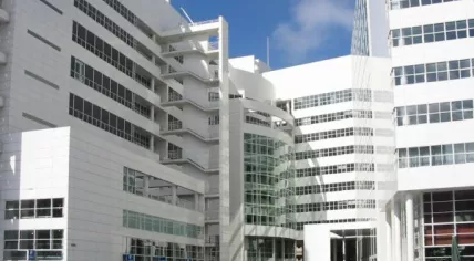 The Hague city hall