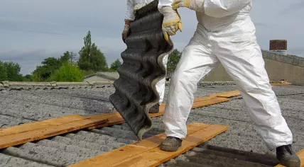 Asbestos removal 