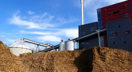 Biomass power plant