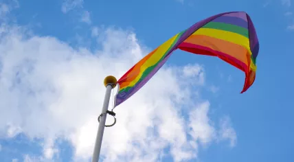 Rainbow flag