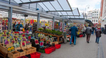Amsterdam's famous flower market in 2015