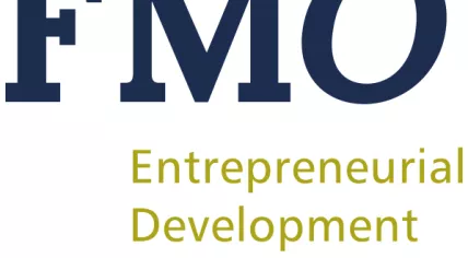 FMO logo