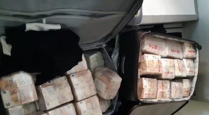 Cash seized in a Colombian cocaine investigation