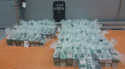 800 kilos of cocaine found at the port of Rotterdam in a banana shipment from Ecuador, 16 Oct 2019