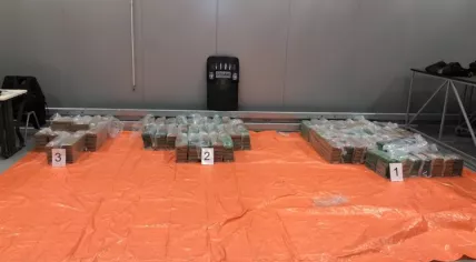 750 kilos of cocaine found at the port of Rotterdam in a banana shipment from Ecuador, 31 Oct 2019