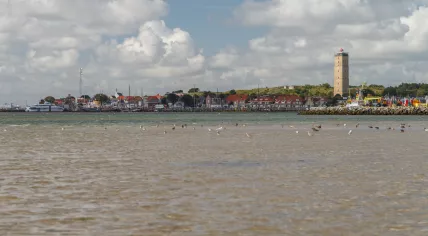 Coast of west Terschelling