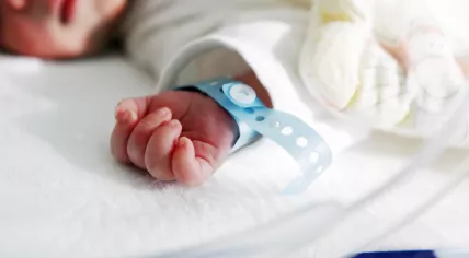Newborn baby