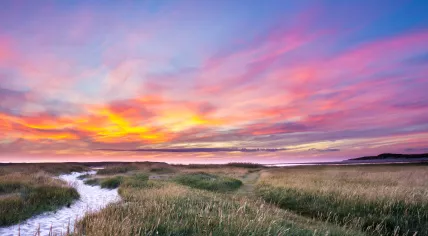 Sunset in Slufter nature reserve on Texel island