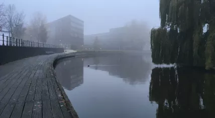 A foggy morning in Amsterdam, 25 November 2019