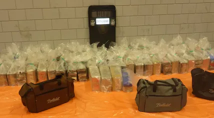 Cocaine captured at Rotterdam port, December 2019