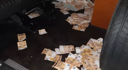 Rotterdam money laundering arrest