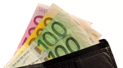 Euros in a wallet
