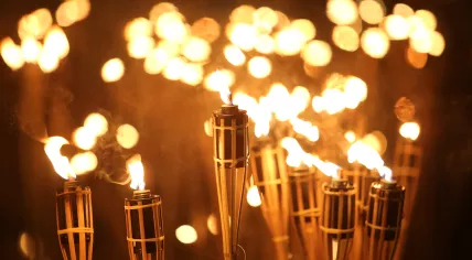 Torches 