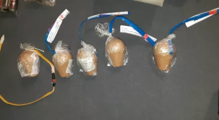 Illegal fireworks found in Den Bosch