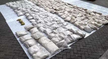 Nearly 1,200 kilograms of heroin found in a shipment destined for the Netherlands. Sept. 13, 2020