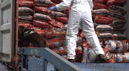 Nearly 1,200 kilograms of heroin found in a shipment destined for the Netherlands. Sept. 13, 2020