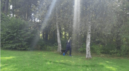 Police search Zuiderpark in Rotterdam where a 20-year-old woman was raped on 7 September 2020