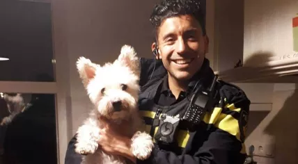 Dog Frodo helped the police catch three burglars in Hardewijk, October 2020