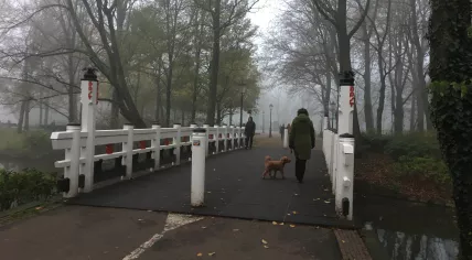 A foggy and cold day in Amsterdam's Oosterpark, 9 December 2020