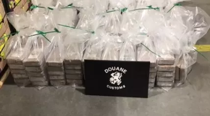 Cocaine found at the port of Vlissingen, hidden in a banana shipment from Ecuador, 14 January 2020