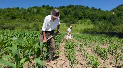 Farm work