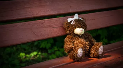Teddy bear