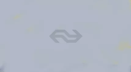 NS Logo in grey against a silver backdrop