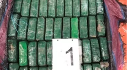 1,000 kilos of cocaine found at the port of Rotterdam in a banana shipment from Ecuador, 7 February 2020