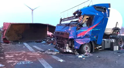 Drunk unlicensed Dutch truck driver, fatal accident in Germany