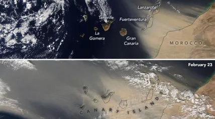 Satellite image of a sandstorm covering the Canary Islands, 22 and 23 February 2020