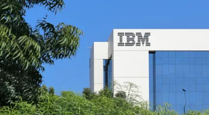 IBM