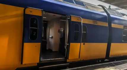 NS train