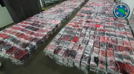 Over 5,000 kg of cocaine seized in Costa Rica before shipment to Rotterdam, 15 February 2020