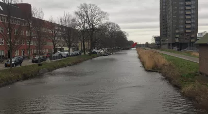 Wind blowing in Amsterdam, 9 February 2020