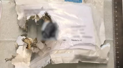 Mail bombs detonated in Amsterdam and Kerkrade in February 2020