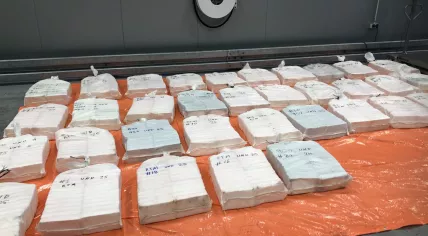 865 kilos of cocaine found at the port of Rotterdam, hidden in a pineapples from Costa Rica, 30 March 2020
