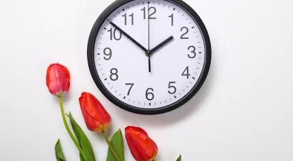 Daylight savings time: The clocks change at 2 a.m.