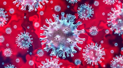 Artist's rendition of the coronavirus