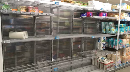 Empty shelves at an Albert Heijn store in Amsterdam Oost, 13 March 2020