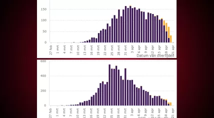 Two coronavirus charts: The top showing daily reported deaths and the bottom showing new hospitalizations. Purple indicates known cases, Yellow indicates newly-reported cases