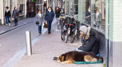 A man sitting on an Amsterdam street with a dog on top of their sleeping bag