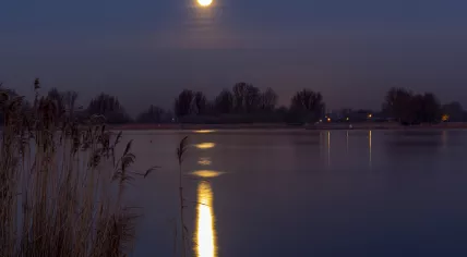 Supermoon reflected in the Zoetermeerse lake in Zoetermeer