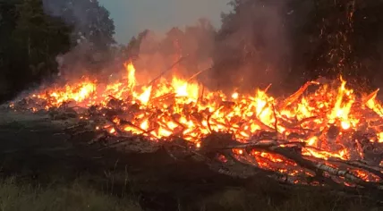 Fire in National Park de Meinweg in Limburg, 21 April 2020