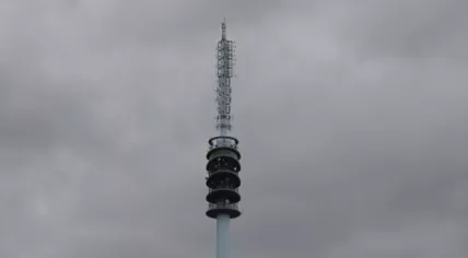 Transmission mast