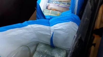 €800,000 cash and 10 kilos cocaine found in a delivery van pulled over on Vekenoord in Breda, 1 May 2020